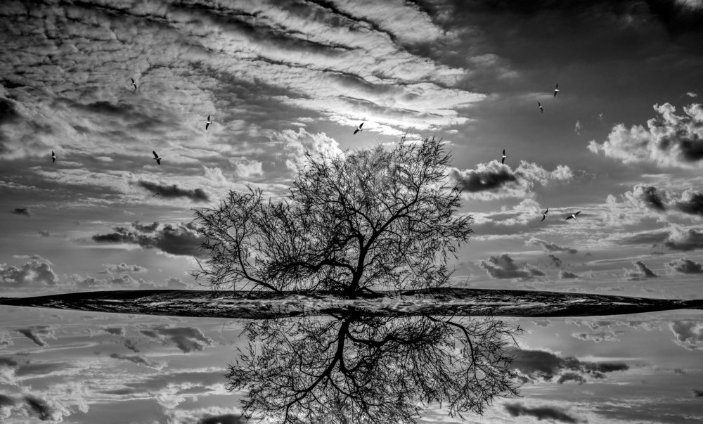 Photograph by Leonid Lan