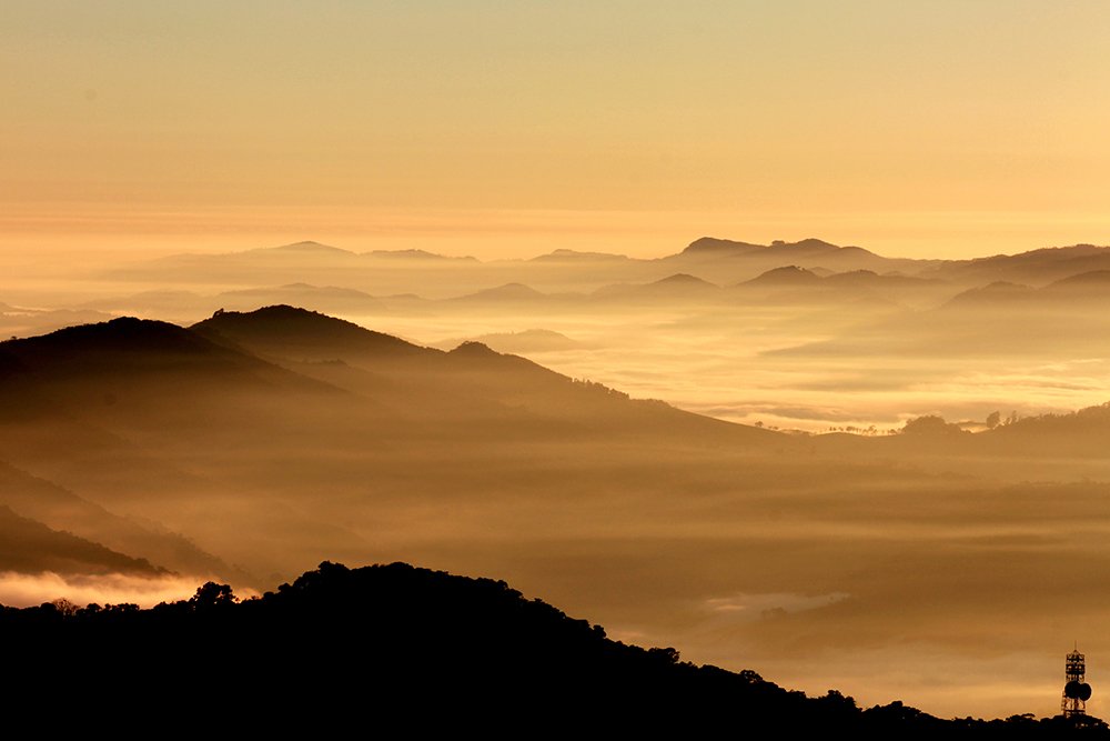 Фотография автора Ricardo Q T Rodrigues