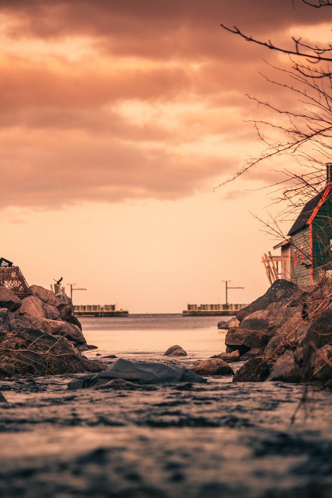 Photograph by Matthew Mesluk