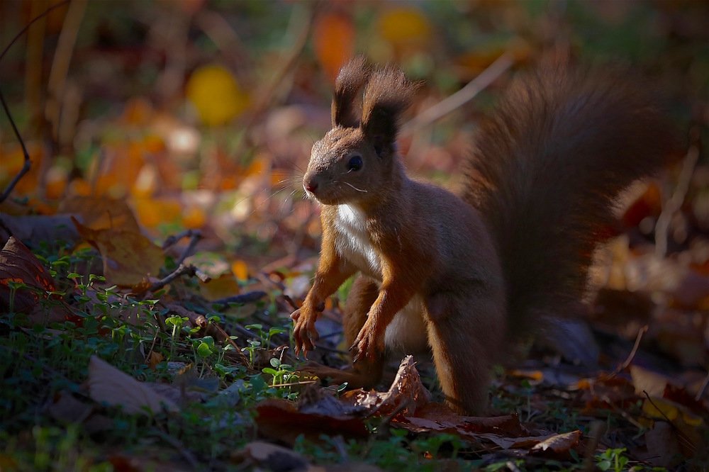 Photograph by Nataliya Mochernyuk
