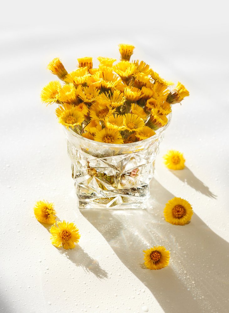 Первая весна