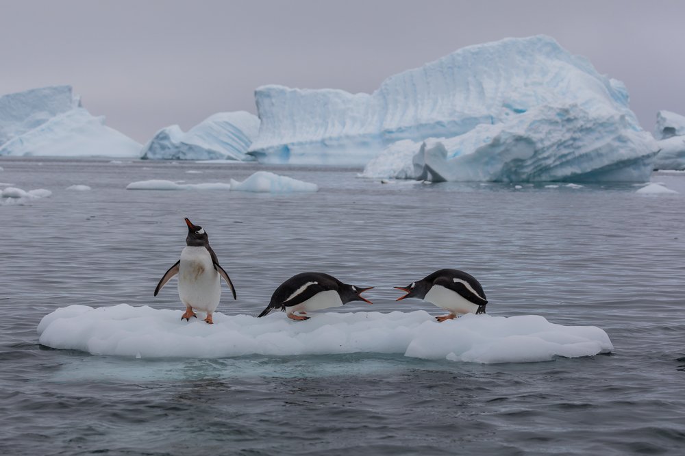 Photograph by Марина Маликова
