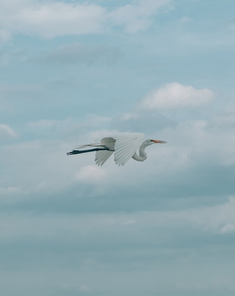 Photograph by Alisa Bryz-Gornia