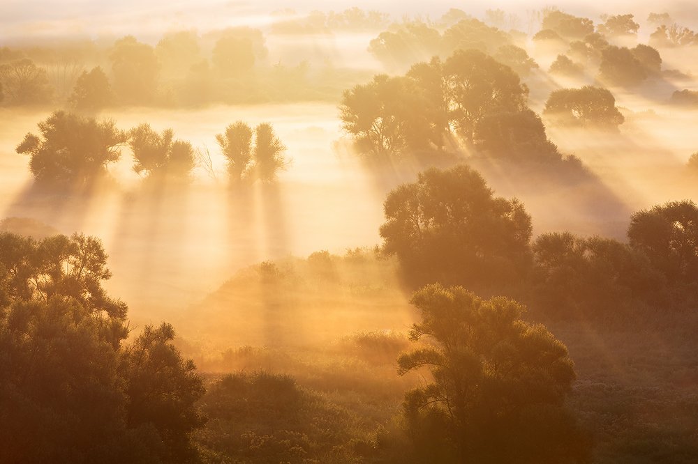 Фотография автора Юрий Сорокин