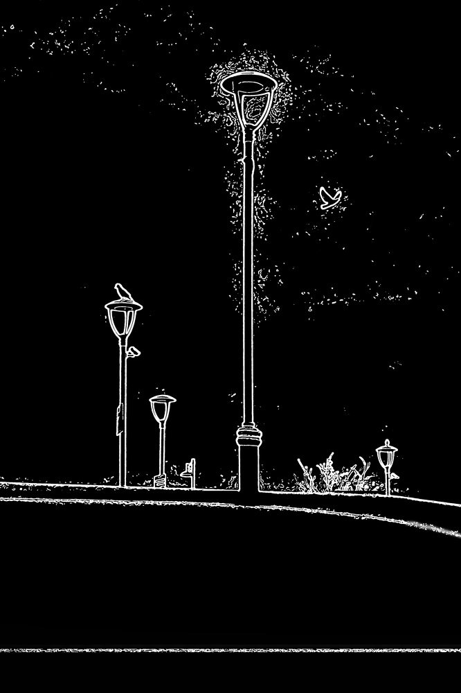 Photograph by Владимир Бутов