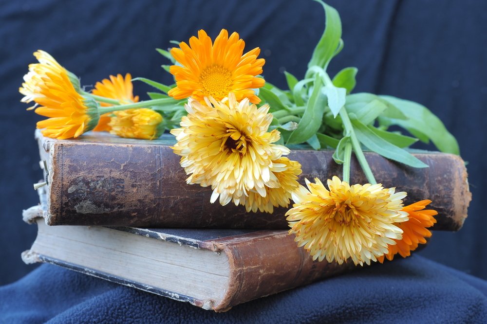 Photograph by Виктор Комиссаров