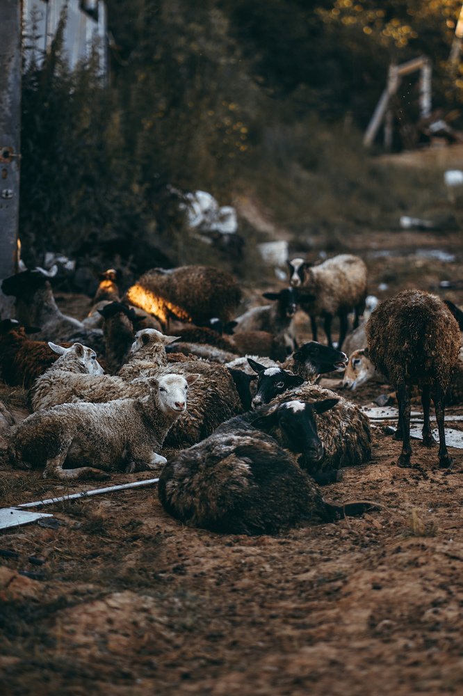 Photograph by Валерия Трушина