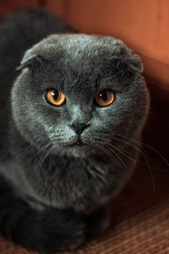 Photograph by Элина Данелия