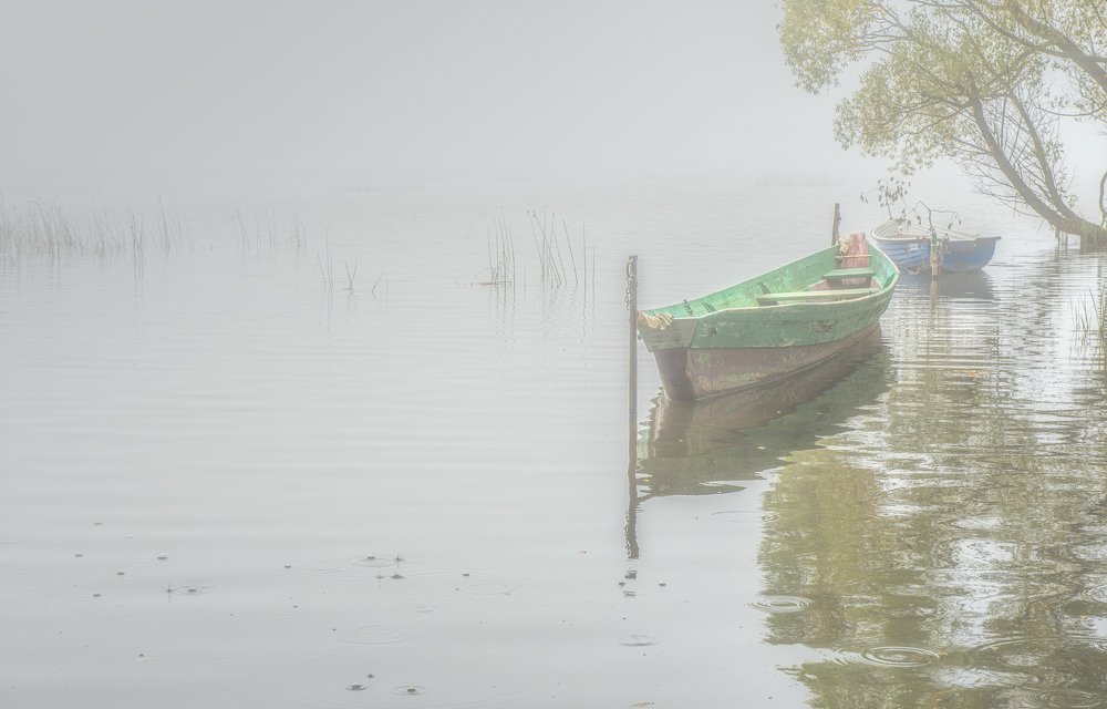 Photograph by Роман Махров