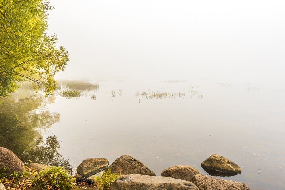 Photograph by Роман Махров