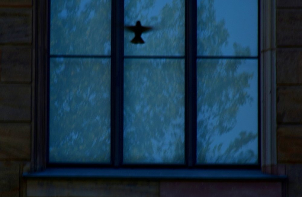 Photograph by Vahe Bazikyan