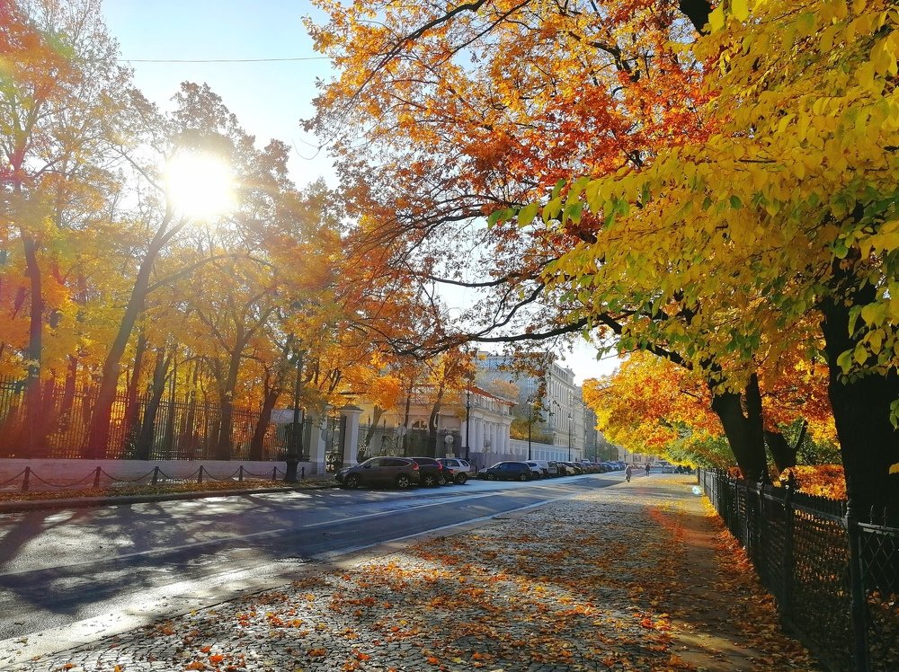 Золотая осень
