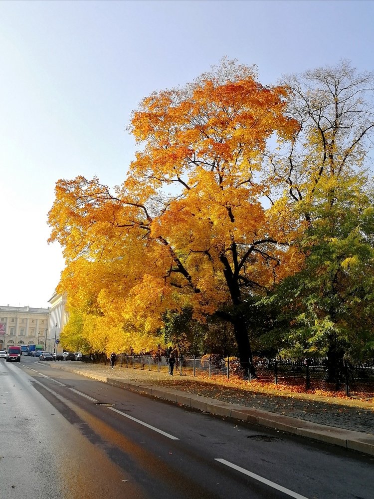 Осеннее утро