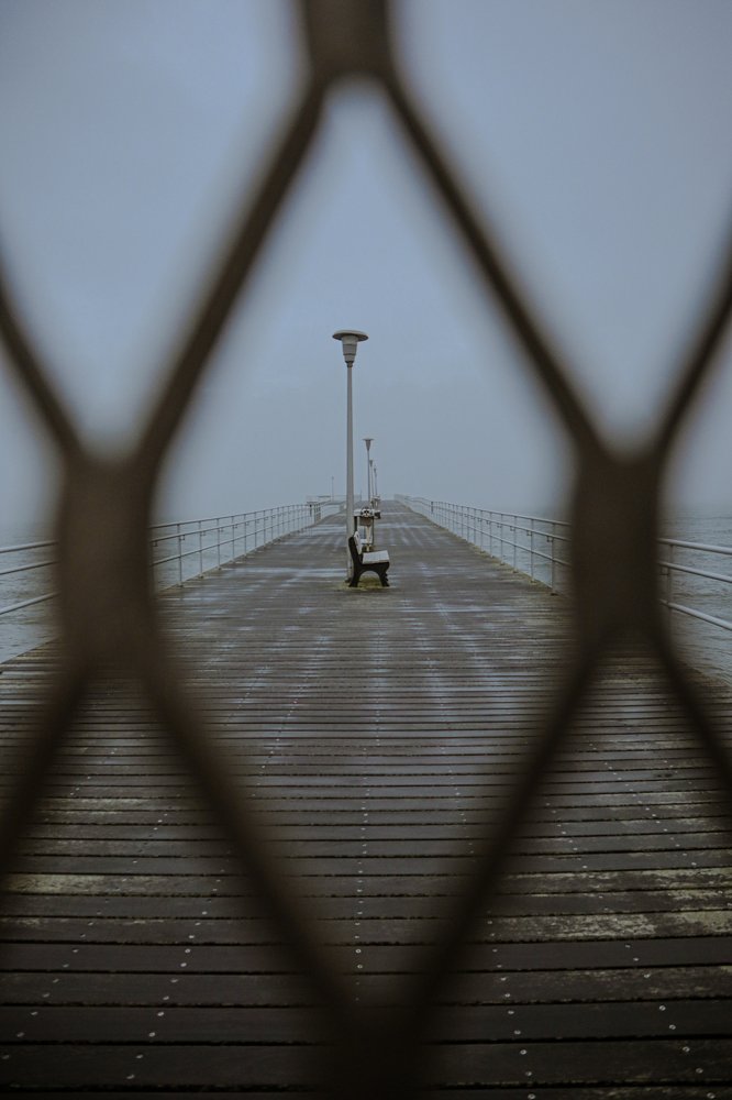 Photograph by Alisa Bryz-Gornia