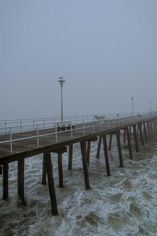 Photograph by Alisa Bryz-Gornia