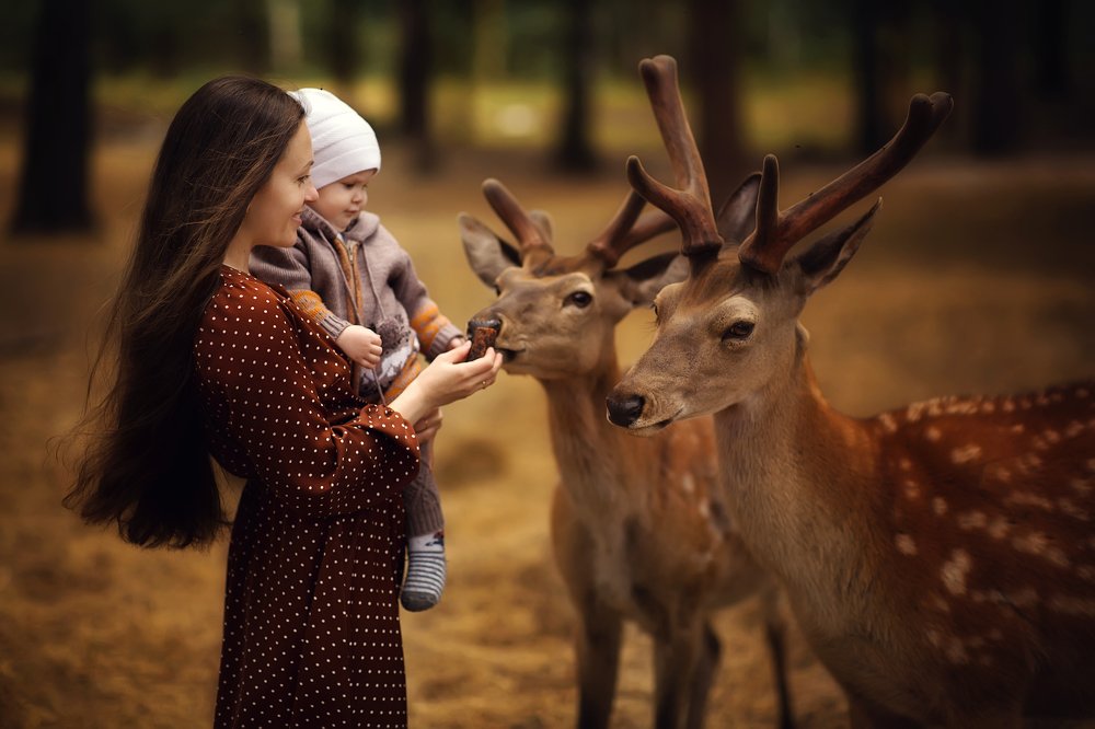 Photograph by Алёна Костюковец
