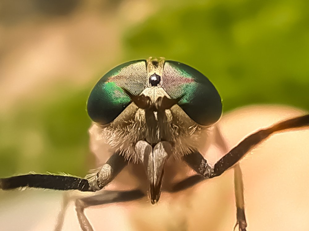 Photograph by Владимир Каменев