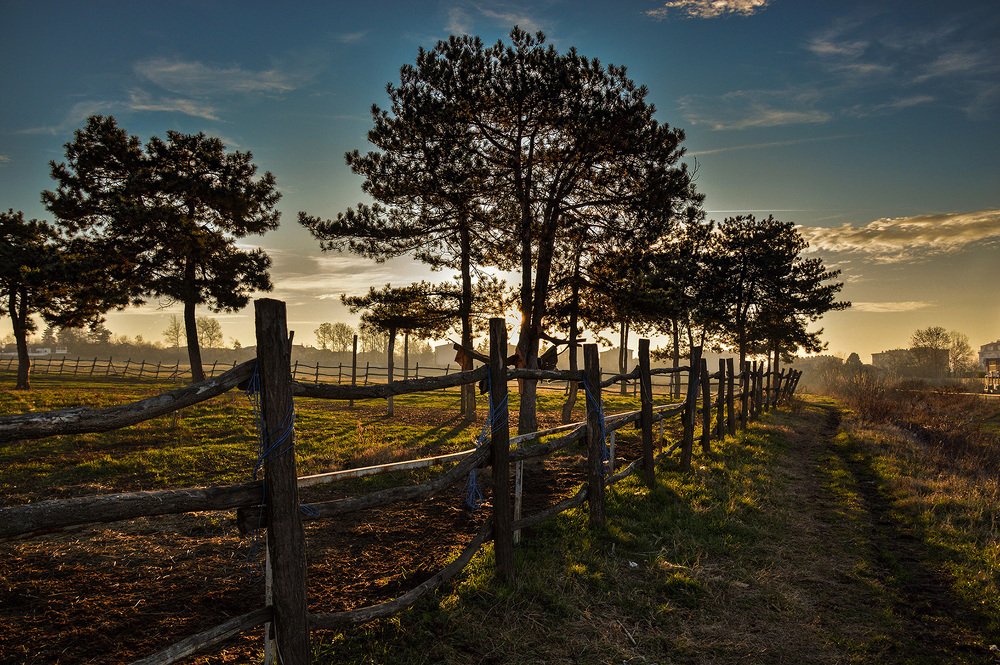 Photograph by Milan Gabarić