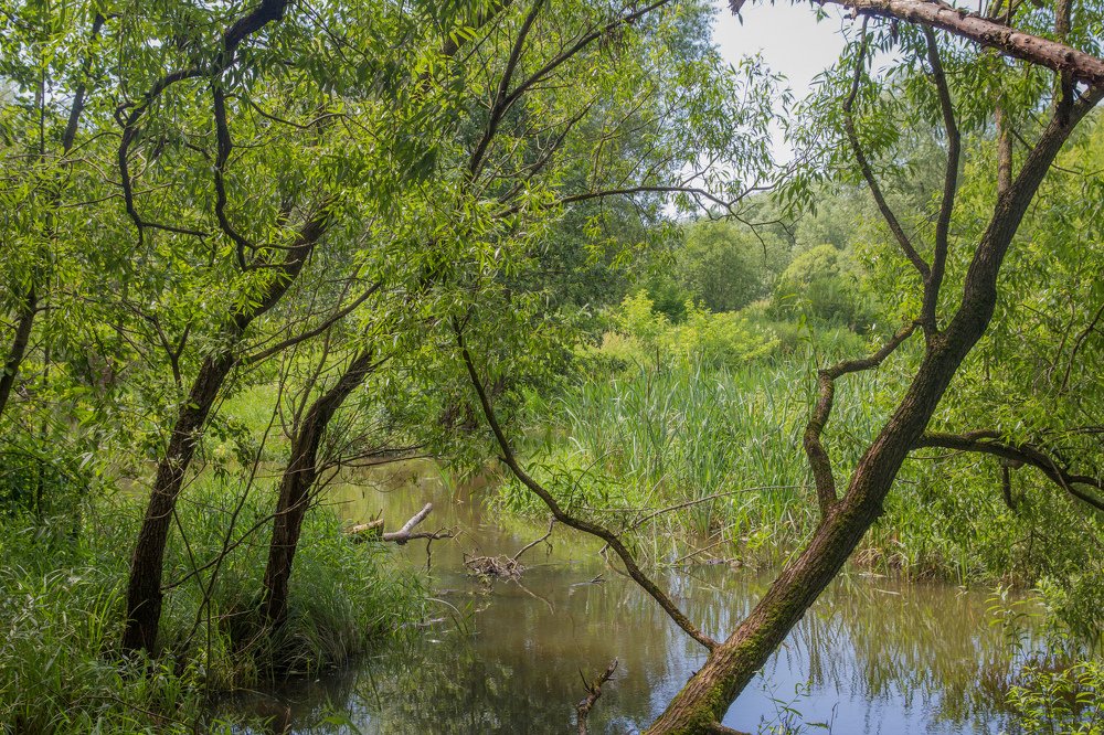 Photograph by Светлана Паренкова