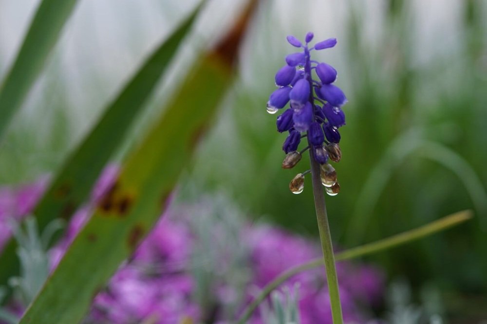 Photograph by Ольга Андрусив