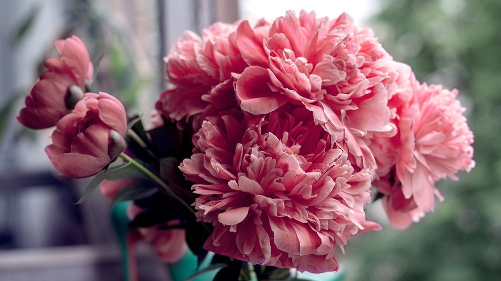 Photograph by victoria chaikova