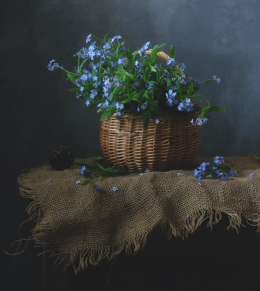 Photograph by  Наталия К