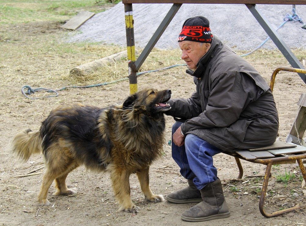 Взаимопонимание.