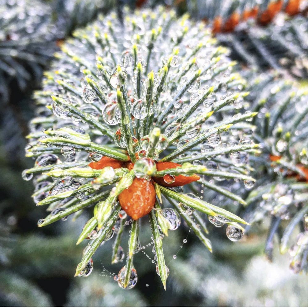 Photograph by Ольга Андрусив