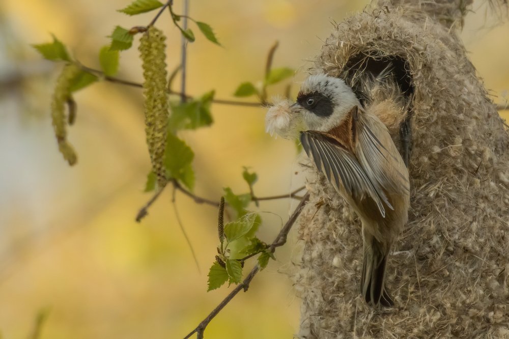 Photograph by Jan Zięba