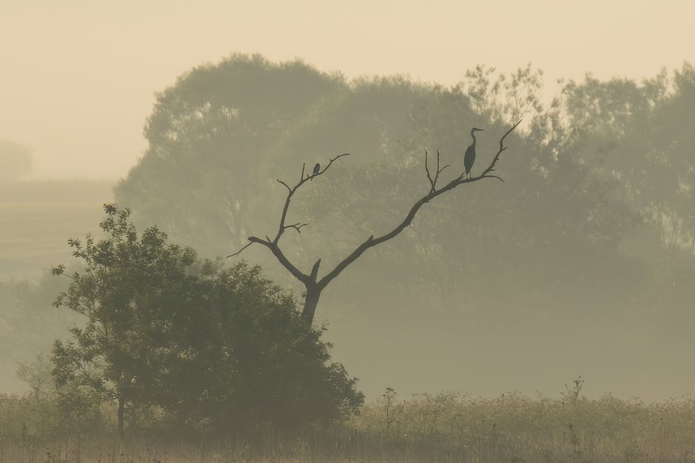 Photograph by Jan Zięba
