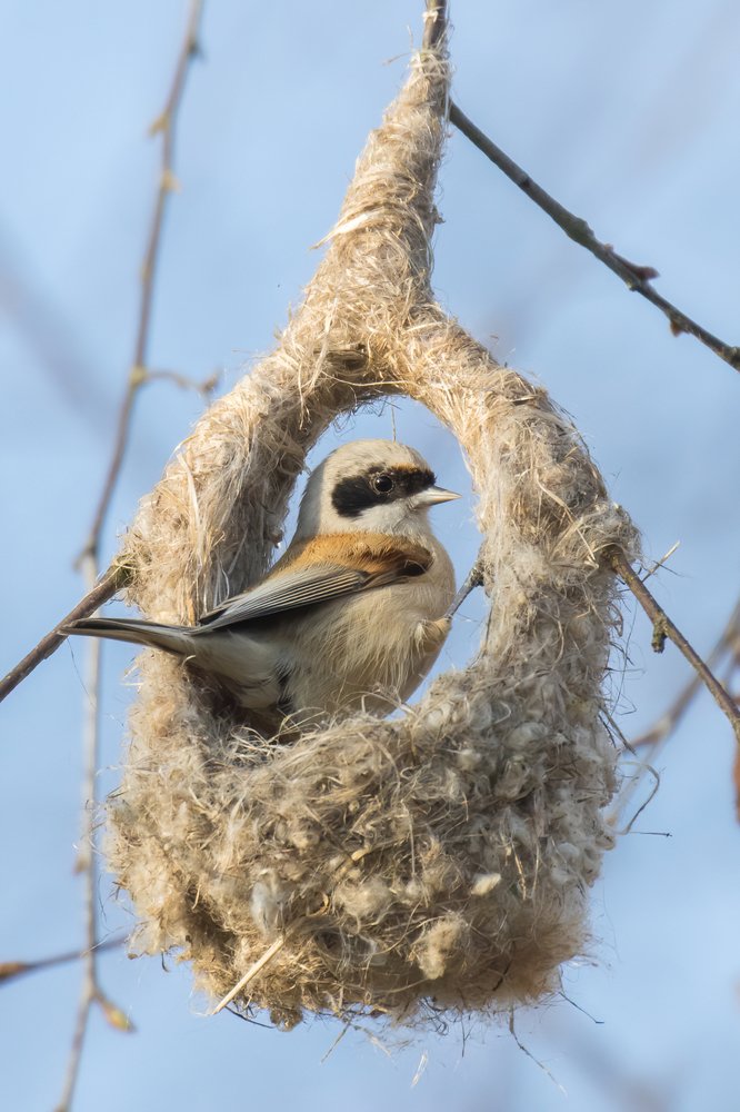 Photograph by Jan Zięba