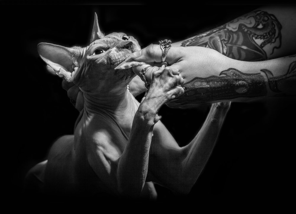 Photograph by Анна Чехарина