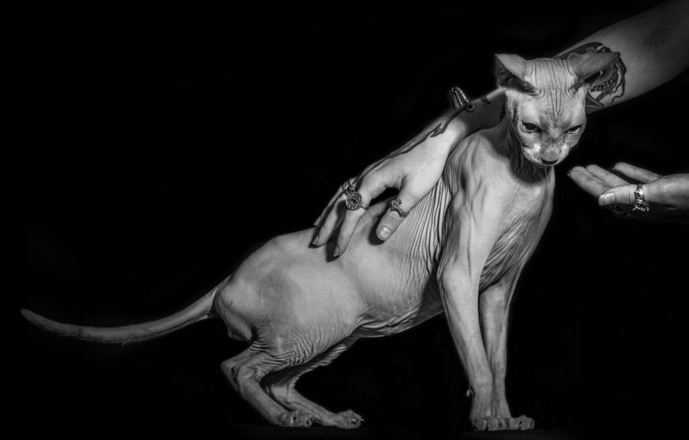 Photograph by Анна Чехарина