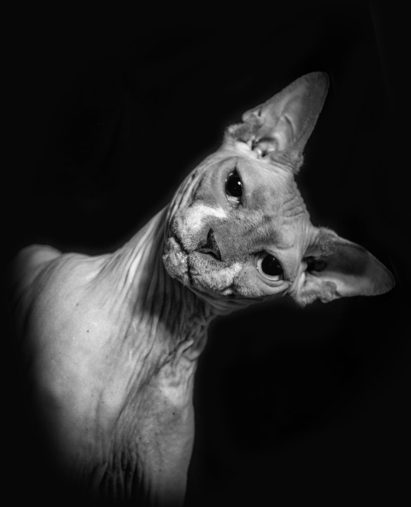 Photograph by Анна Чехарина