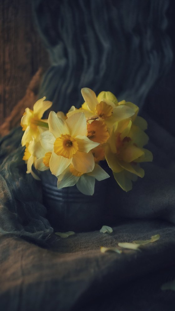 Photograph by Ольга Линк