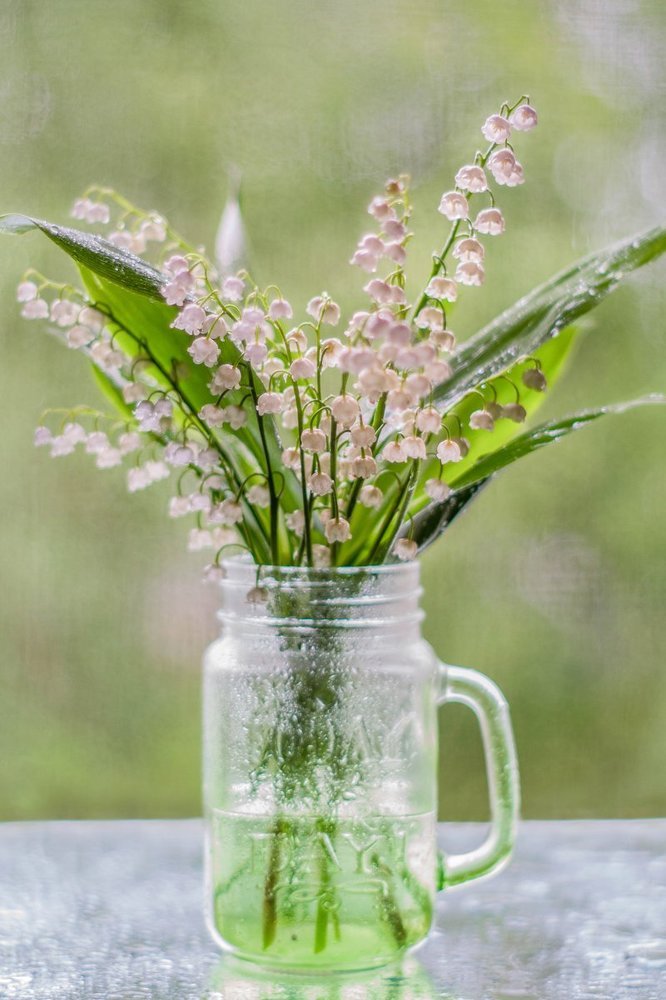 Photograph by Диана Кошелева