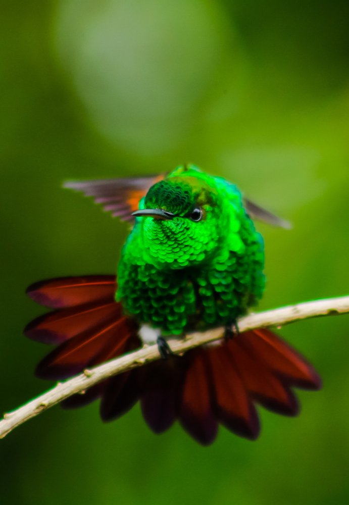 Photograph by Jesus Santamaría