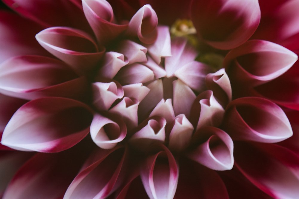 Photograph by Людмила Прибылова