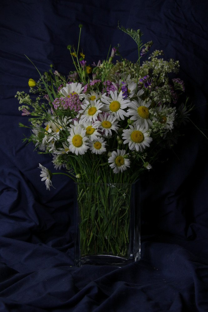 Photograph by Ксения Глубокова