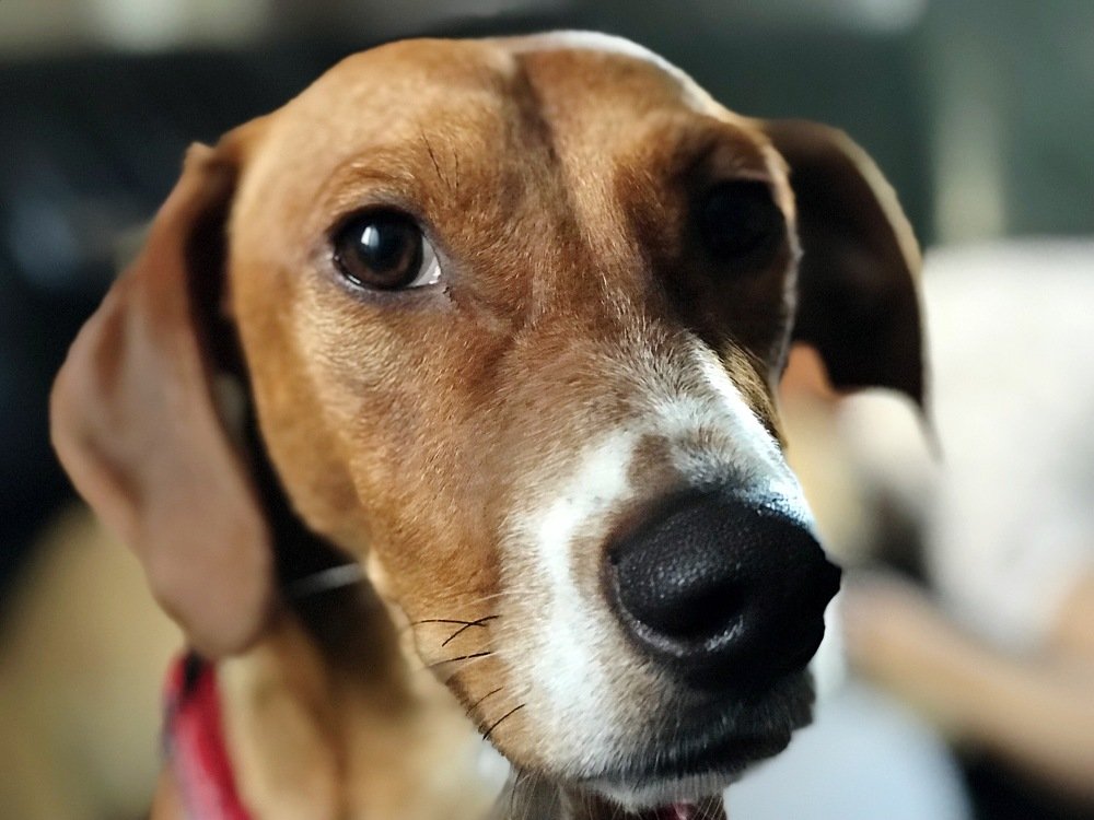 Photograph by Sanja Dozet