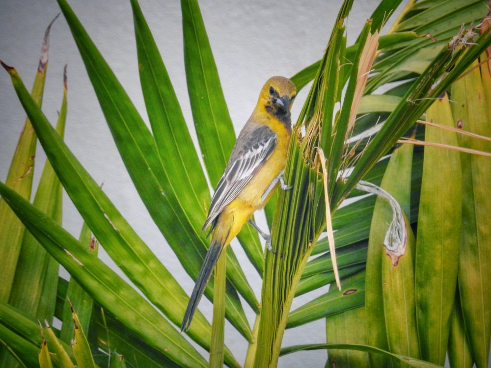 Фотография автора Gabriela Bonilla