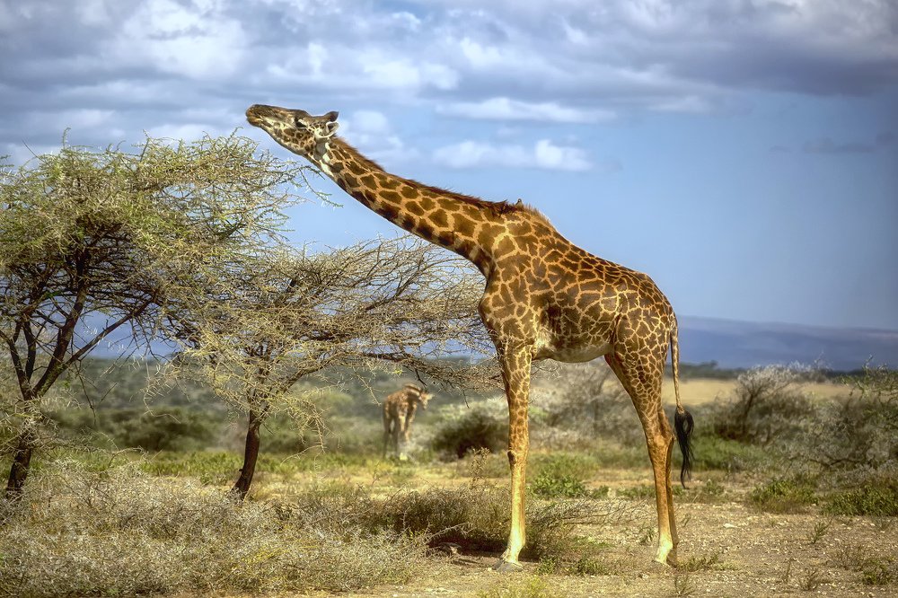 Photograph by Рашид Усманов