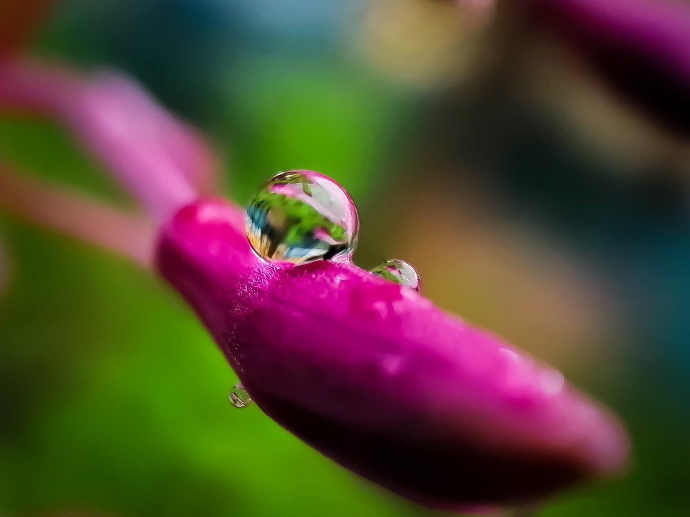 Photograph by Мардарь Татьяна