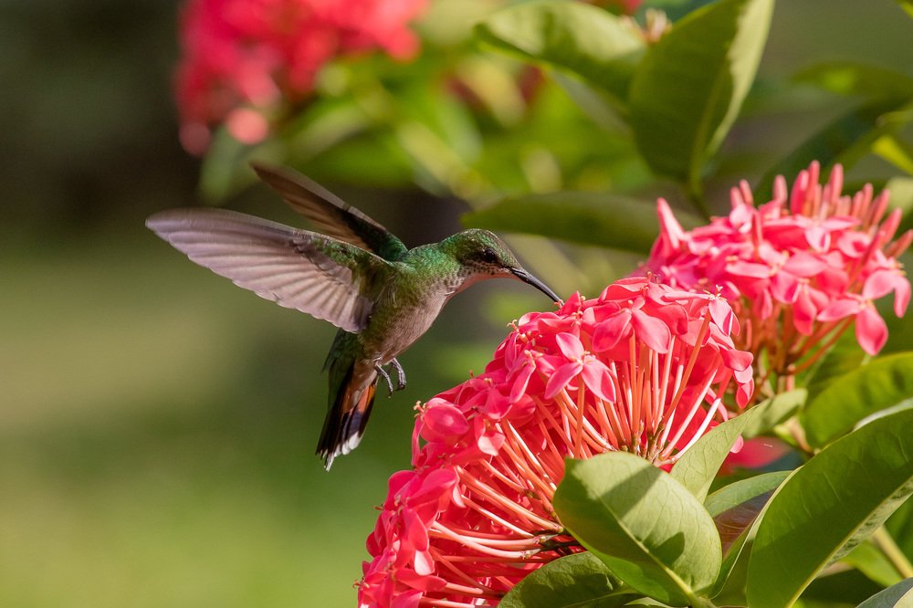 Photograph by Алексей Юденков