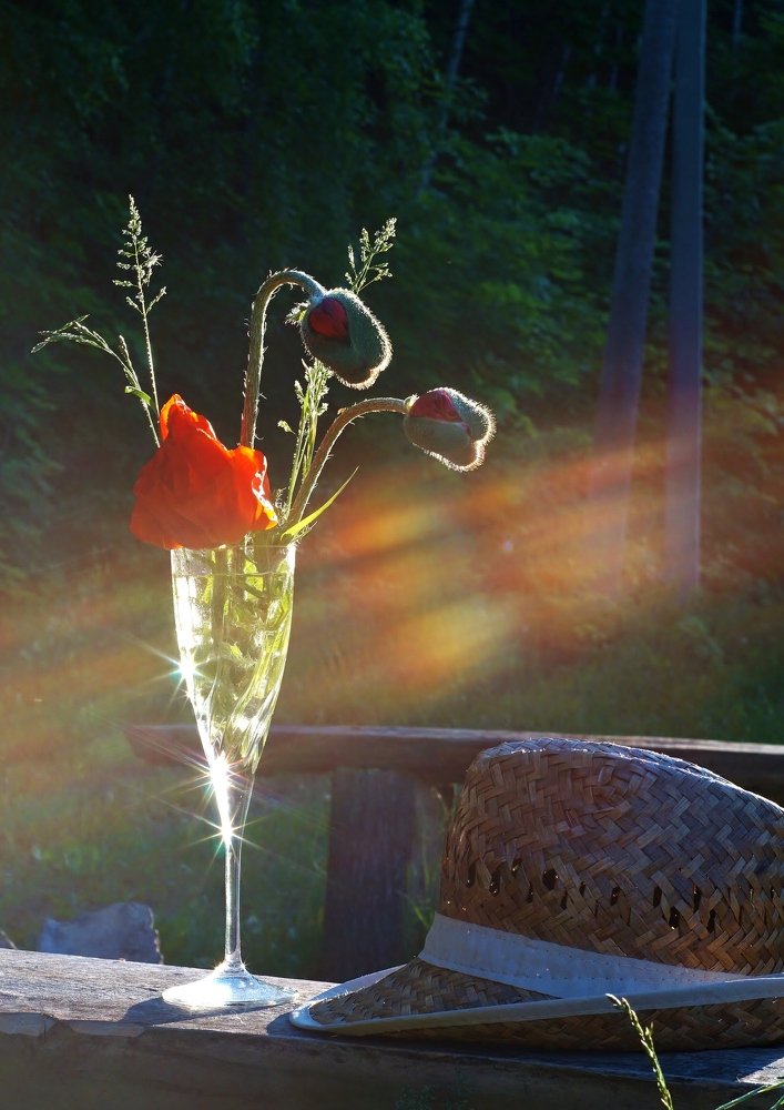 Photograph by Александр Попов