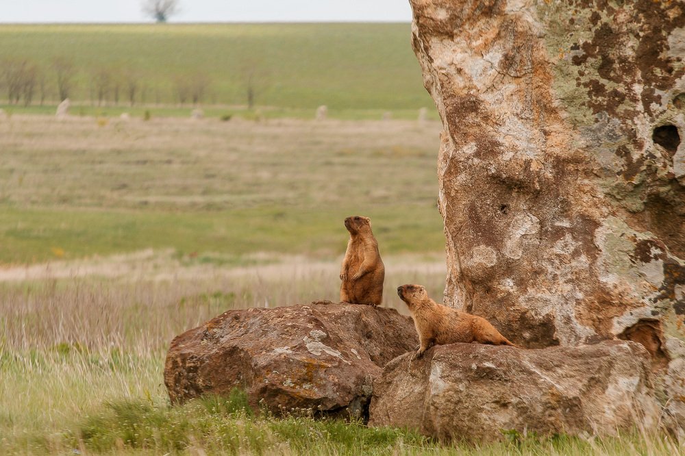 Photograph by Алексей Юденков