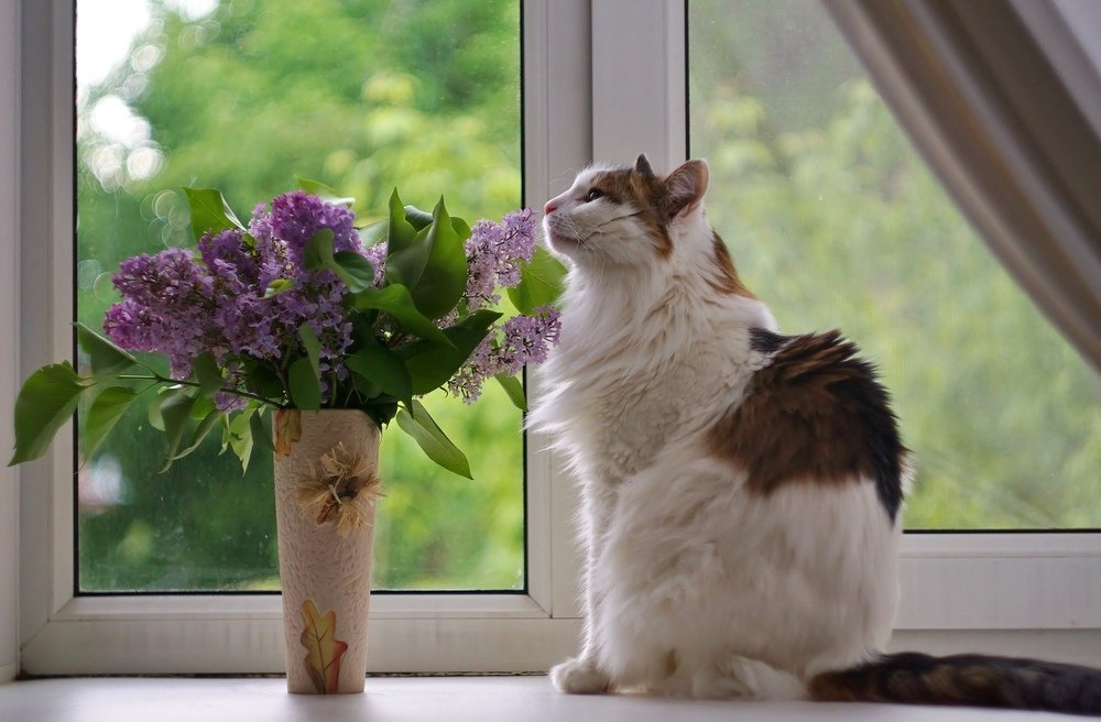 Photograph by Александр Попов