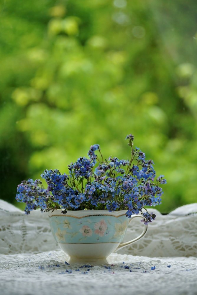 Photograph by Александр Попов