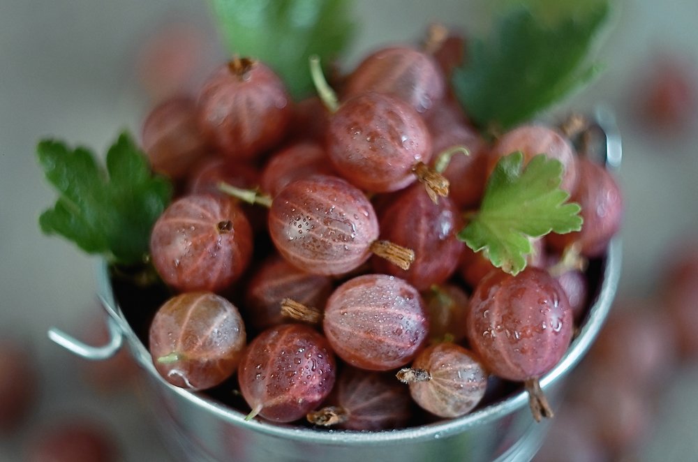 Photograph by Аликина Татьяна