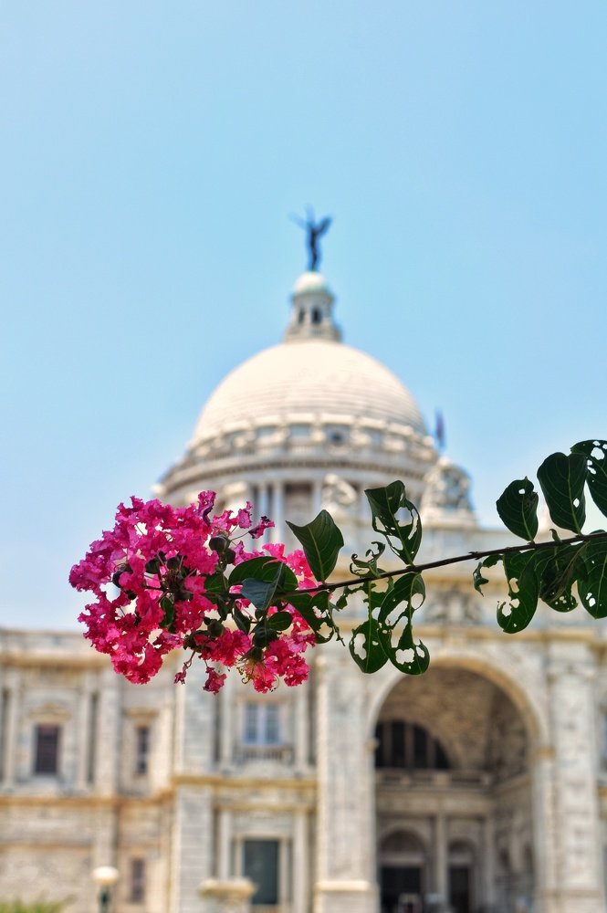 Photograph by Sulagna Banerjee